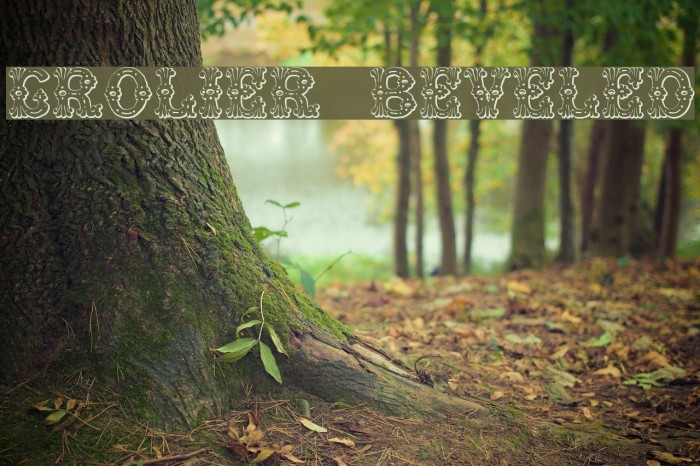 Grolier Beveled Font examples