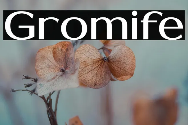Gromife Example 1