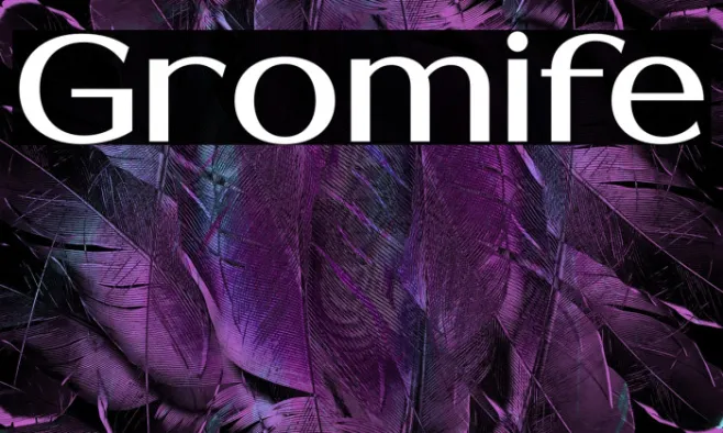 Gromife Example 2