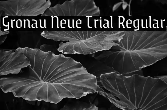 Gronau Neue Trial Regular Font examples