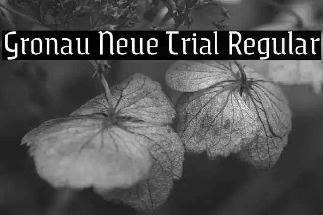Gronau Neue Trial Regular Font examples