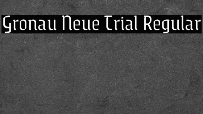 Gronau Neue Trial Regular Font examples