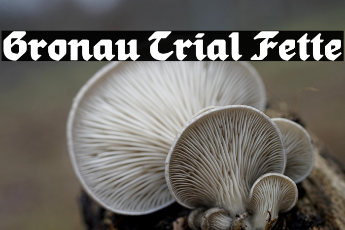 Gronau Trial Fette Example 1