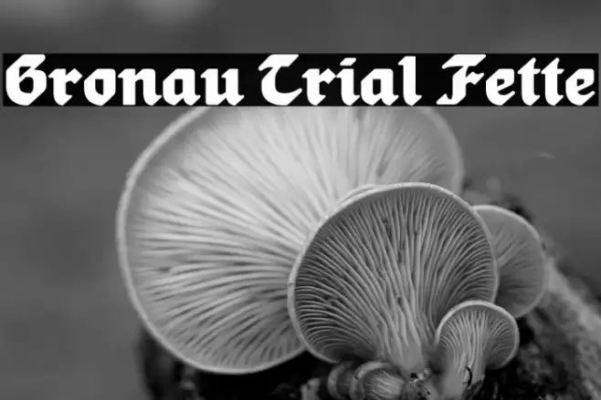 Gronau Trial Fette Font examples