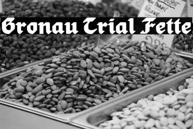 Gronau Trial Fette Font examples