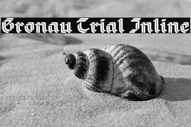 Gronau Trial Inline Font examples