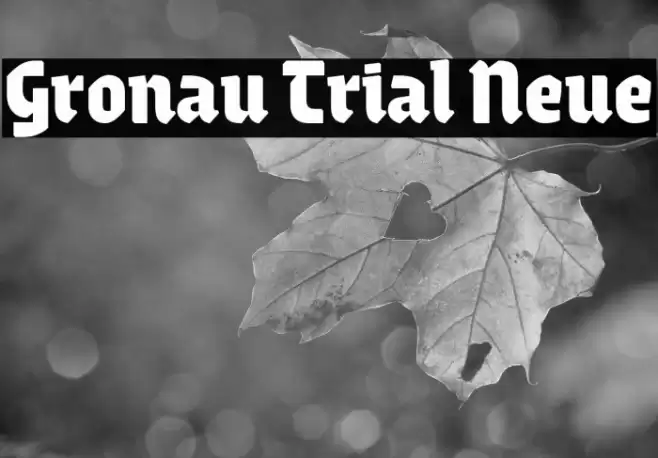 Gronau Trial Neue Font examples