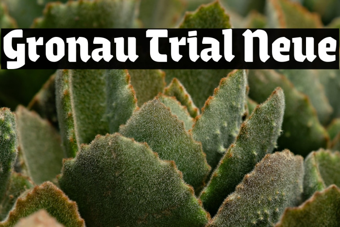 Gronau Trial Neue Example 3