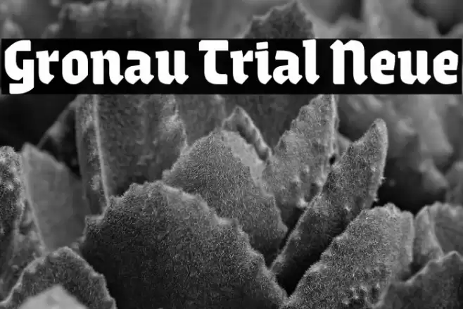 Gronau Trial Neue Font examples