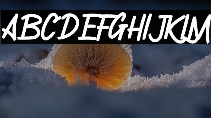 Gronzy Regular Example 2