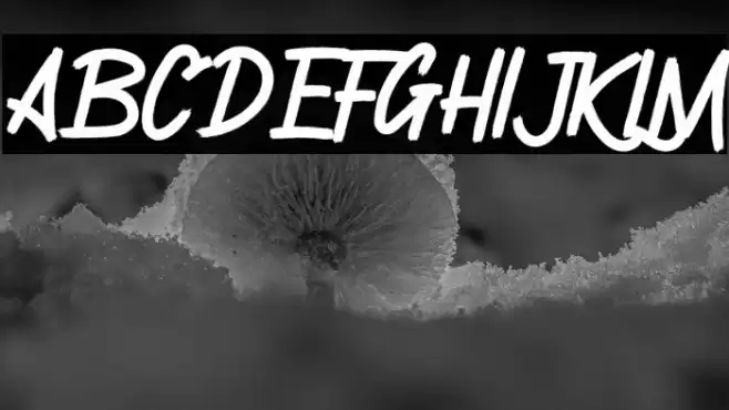 Gronzy Regular Font examples