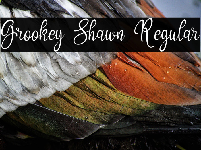 Grookey Shawn Regular Example 1