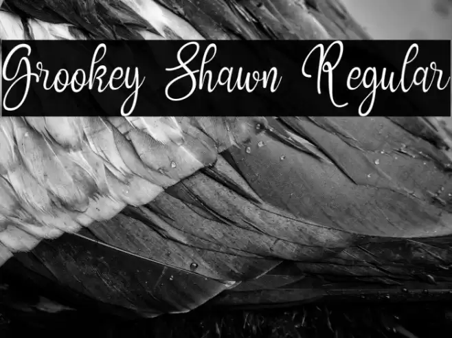 Grookey Shawn Regular Polices examples