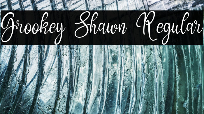 Grookey Shawn Regular Example 2