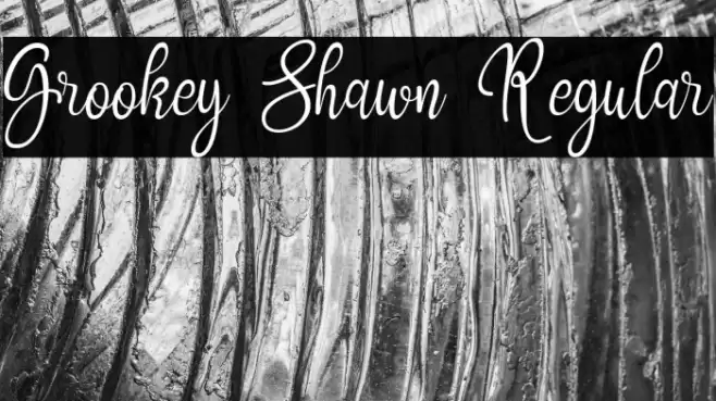 Grookey Shawn Regular Polices examples