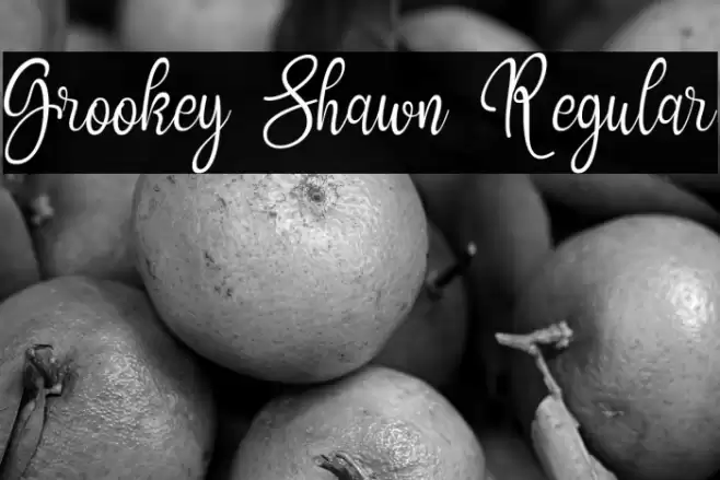 Grookey Shawn Regular Polices examples