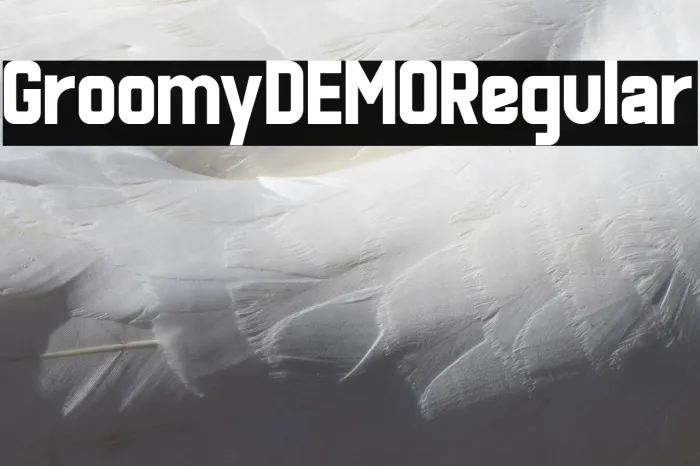 Groomy DEMO Regular Example 1