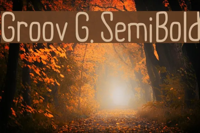 Groov G. SemiBold Example 3