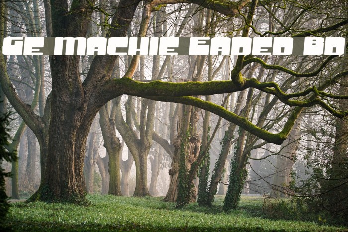 Groove Machine Expanded Bold Font examples