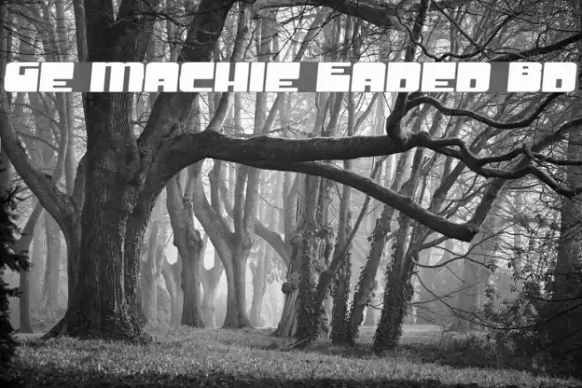 Groove Machine Expanded Bold خط examples