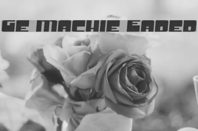 Groove Machine Expanded خط examples