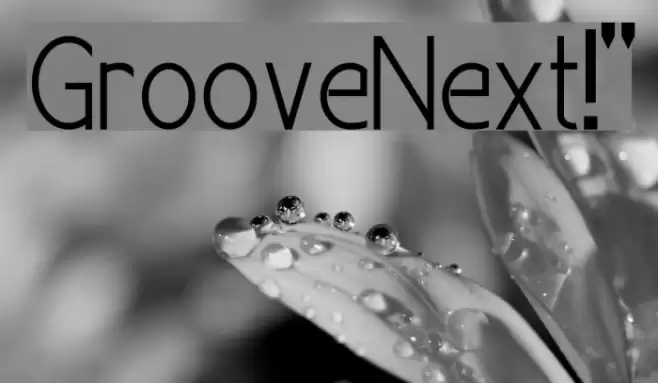GrooveNext!