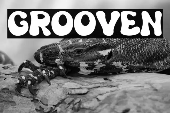 Grooven Font examples