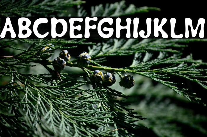 Groovetastic Example 3