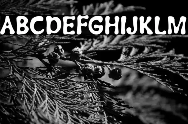 Groovetastic Caratteri examples