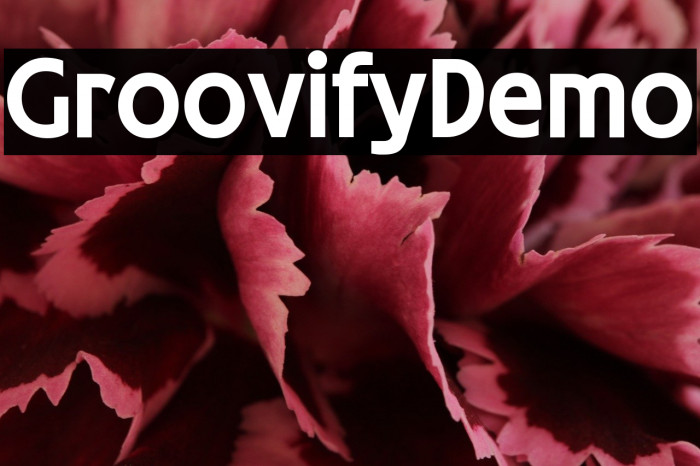 Groovify Demo Example 2