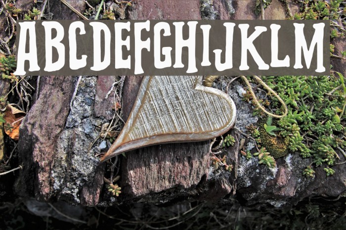 Grooving Font examples