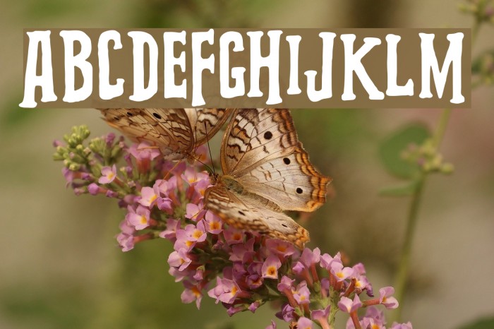 Grooving Font examples