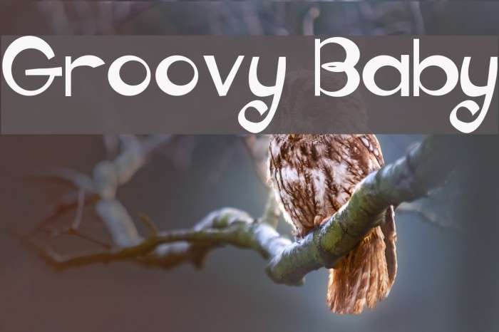 Groovy Baby Font examples