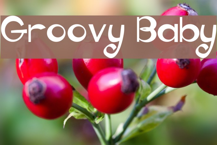 Groovy Baby Font examples