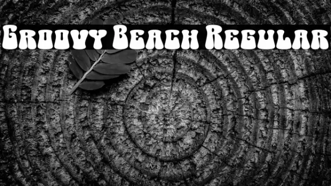 Groovy Beach Regular Schriftart examples