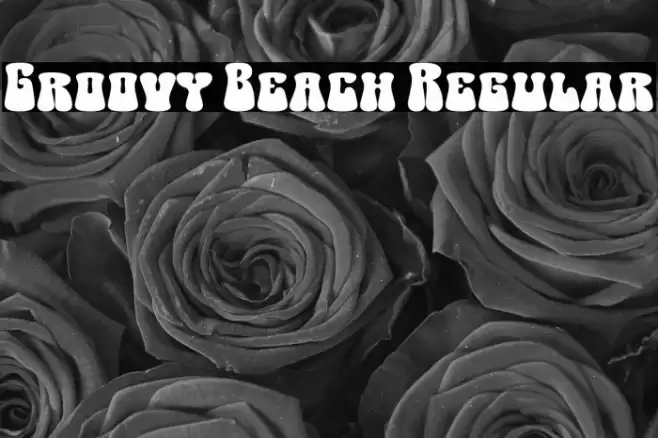 Groovy Beach Regular Schriftart examples