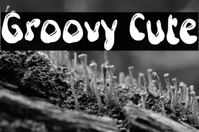 Groovy Cute Font examples