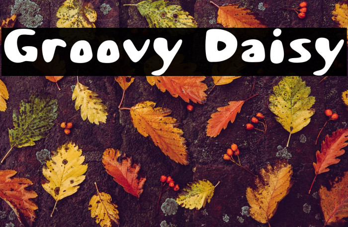 Groovy Daisy Example 3