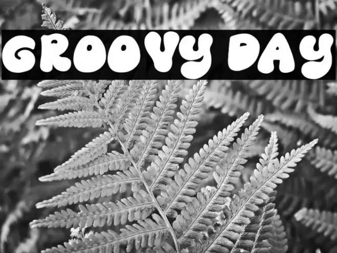 Groovy Day Font examples