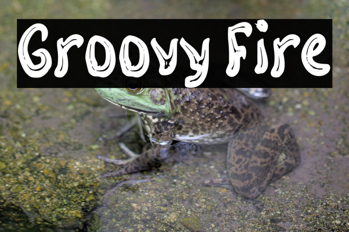 Groovy Fire Example 3