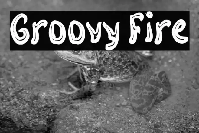 Groovy Fire Font examples