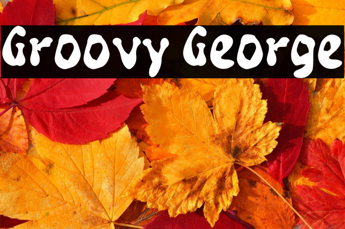 Groovy George Example 2