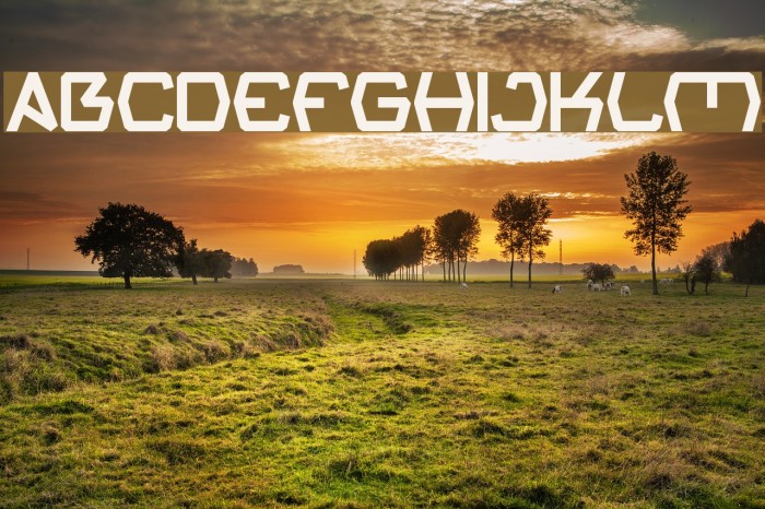 Groovy Kind Of Life Bold Font examples