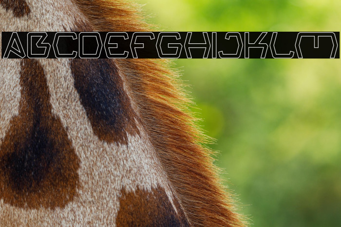 Groovy Kind Of Life-Hollow Example 3