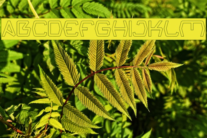 Groovy Kind Of Life-Hollow Example 3