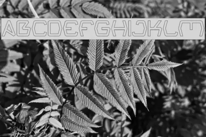 Groovy Kind Of Life-Hollow Font examples