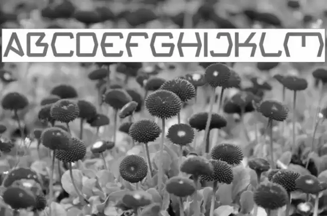 Groovy Kind Of Life-Inverse Font examples