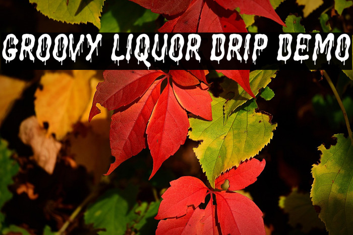 Groovy Liquor Drip Demo Caratteri examples