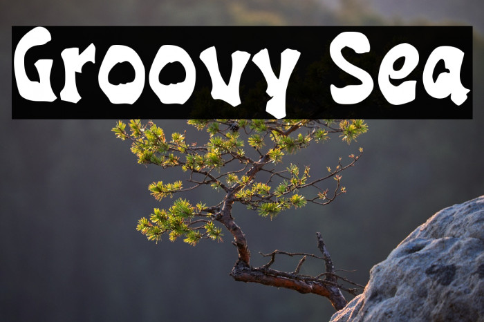 Groovy Sea Example 1