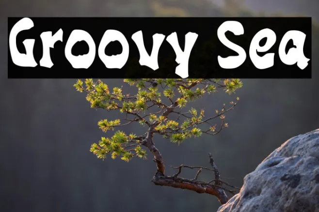 Groovy Sea Example 1